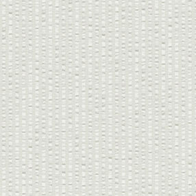 251034-1-4 0108014 RUGAS - RENAUXVIEW.jpg