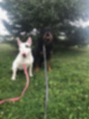 IMG_9715.jpeg