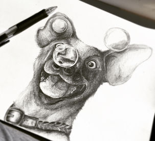 A dog looking playfully at bubble floating near its nose