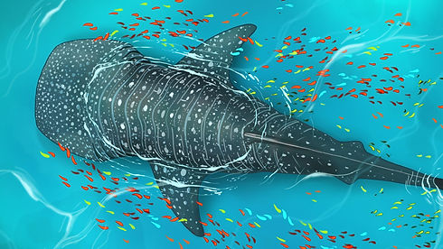 A digital illustration of a whale shark swimming in the sea surrounded by multicoloured fish