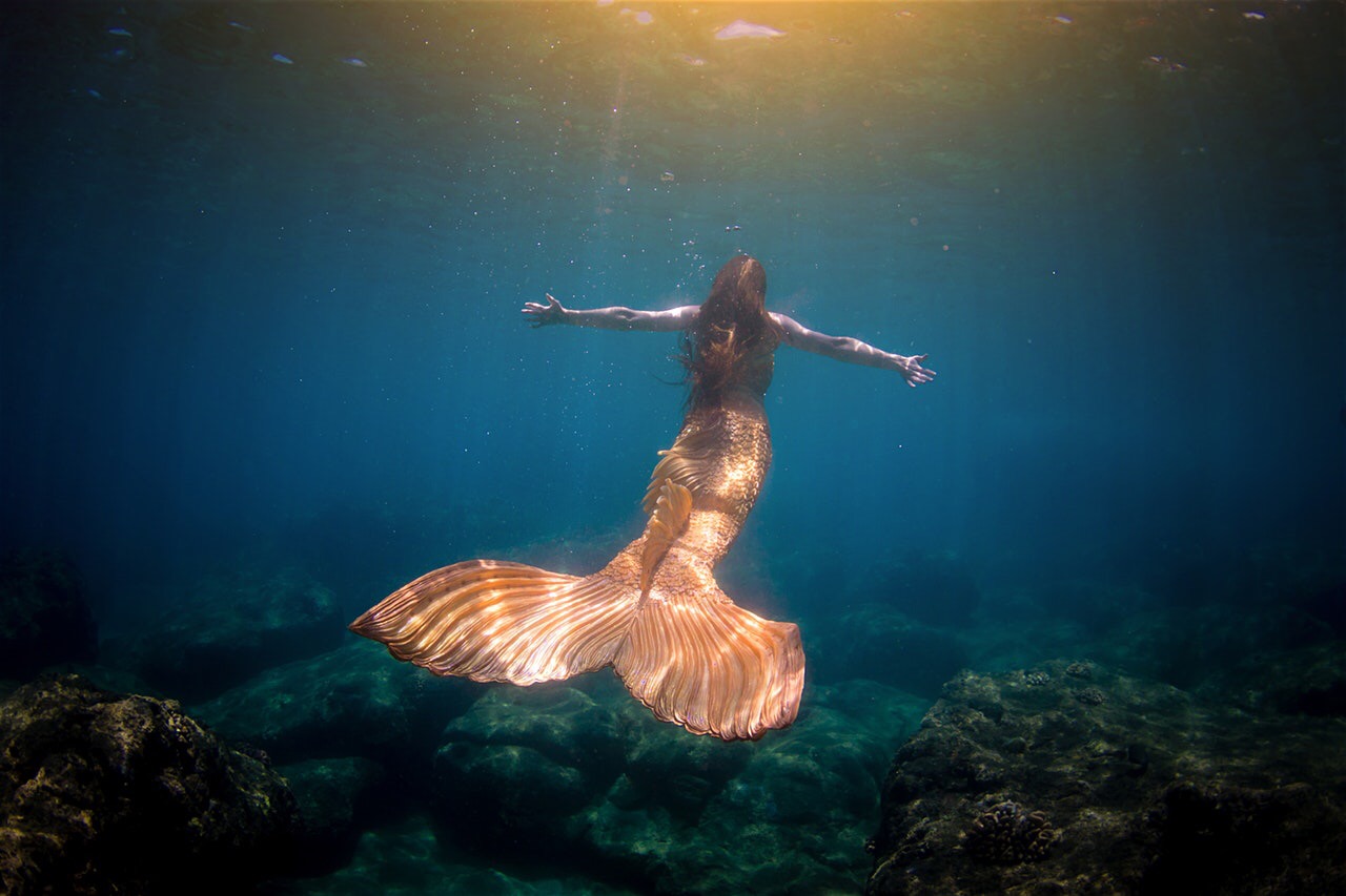 Writer: Haley Mermaid
