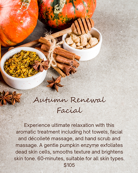Pumpkin Spice Facial (1).png