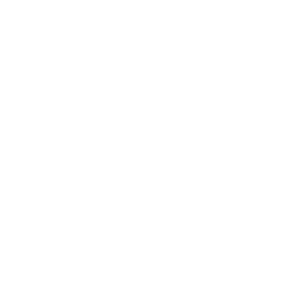 fricken chips_white.png