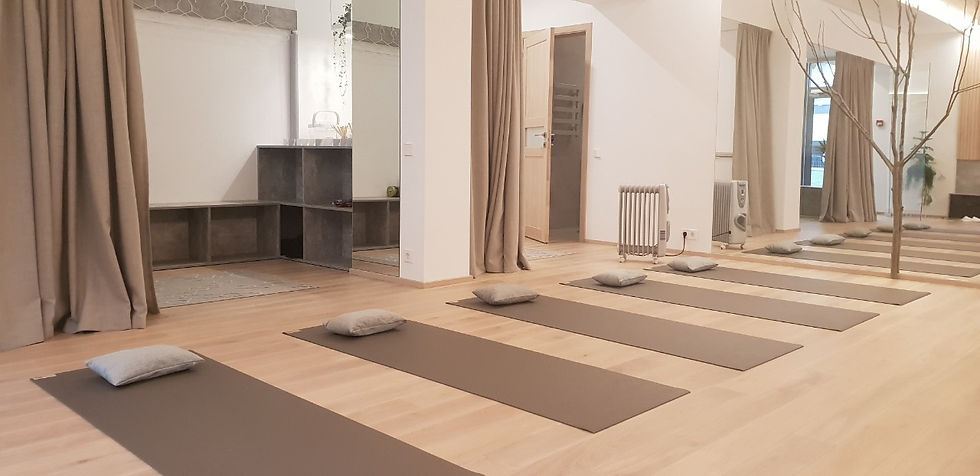 jogos studija vidaus apdaila