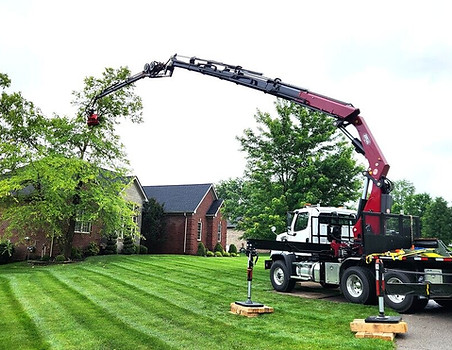 Shults tree service grapplesaw truck removing tree over house