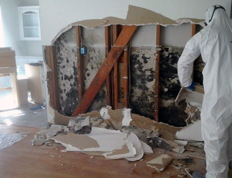 New-Mold-Picture.jpg