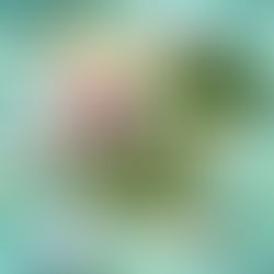 Tulare City School District, Early Childhood Program