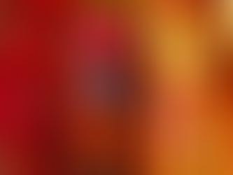 Pakai 3 Warna Imlek Tahun 2024 Ini agar Penuh Keberuntungan dan Kebahagiaan