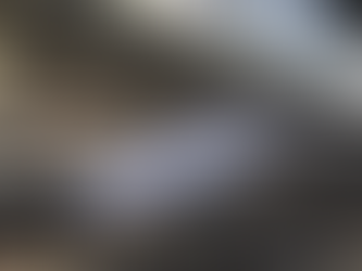 Shinkansen Jepang yang Tepat Waktu Terlambat, karena... Ular