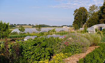 DSCF8683.jpg
