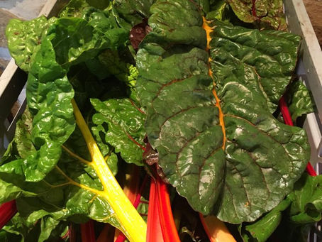 Dës Woch am Geméiskuerf - N°16 2022