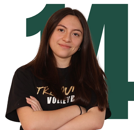 Screenshot 2025-12-11 at 15.34.54.png