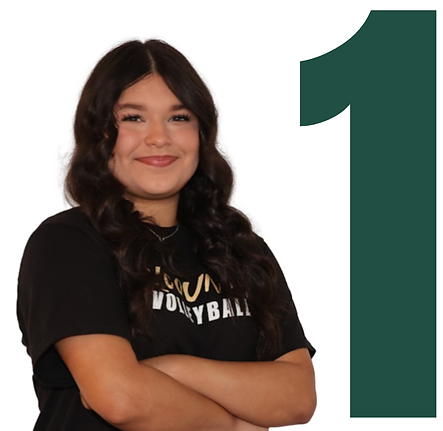 Screenshot 2025-12-11 at 13.27.17.png