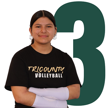 Screenshot 2025-12-11 at 12.52.14.png