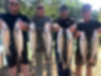 Sacramento River Striper Fishing