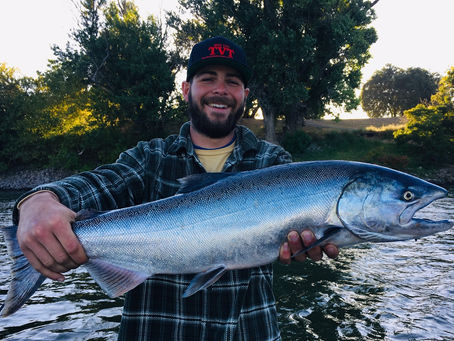 Sacramento river salmon fishing report 1/24/2019