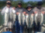 Sacramento River Striper Fishing