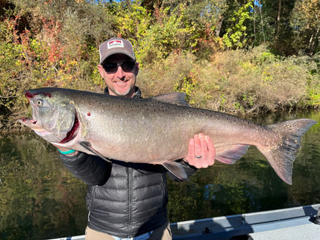 Feather River Salmon Fishing Report 10/12/2025