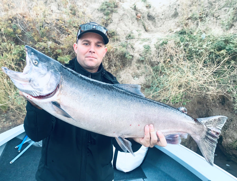 Sacramento river salmon fishing report 10/16/2021