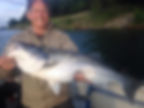 Sacramento River Striper Fishing