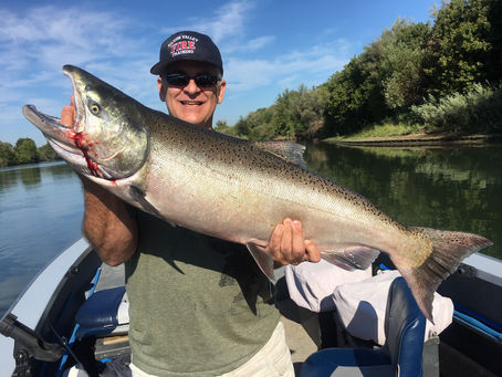 Sacramento river salmon fishing report 8/7/2019