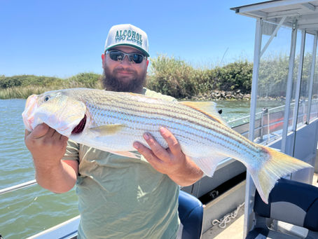 Sacramento River Delta Striper Fishing Report 6/22/2025