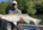 Sacramento River Striper Fishing