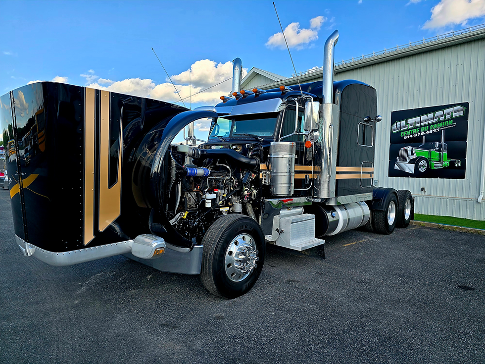 Miniature : PETERBILT 389 2020