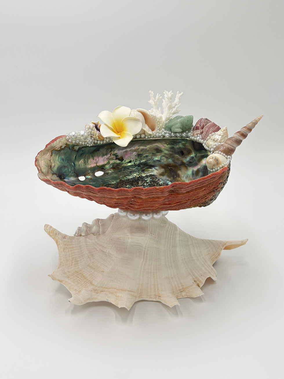 Thumbnail: Tidal Dream Dish 