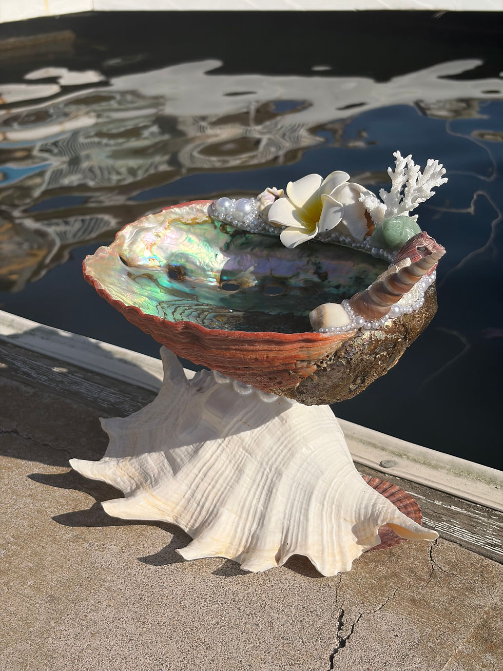 Thumbnail: Tidal Dream Dish 