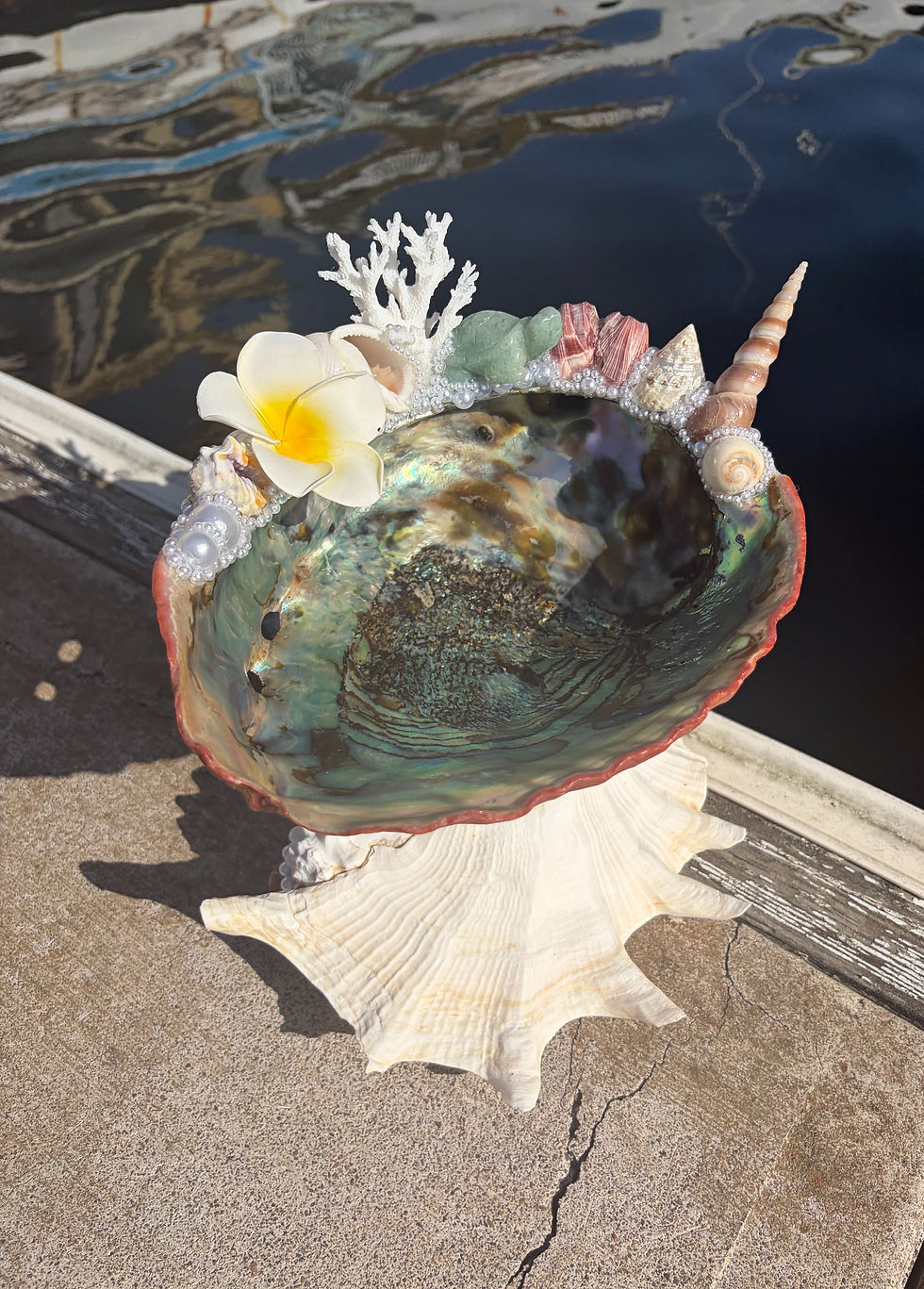 Thumbnail: Tidal Dream Dish 