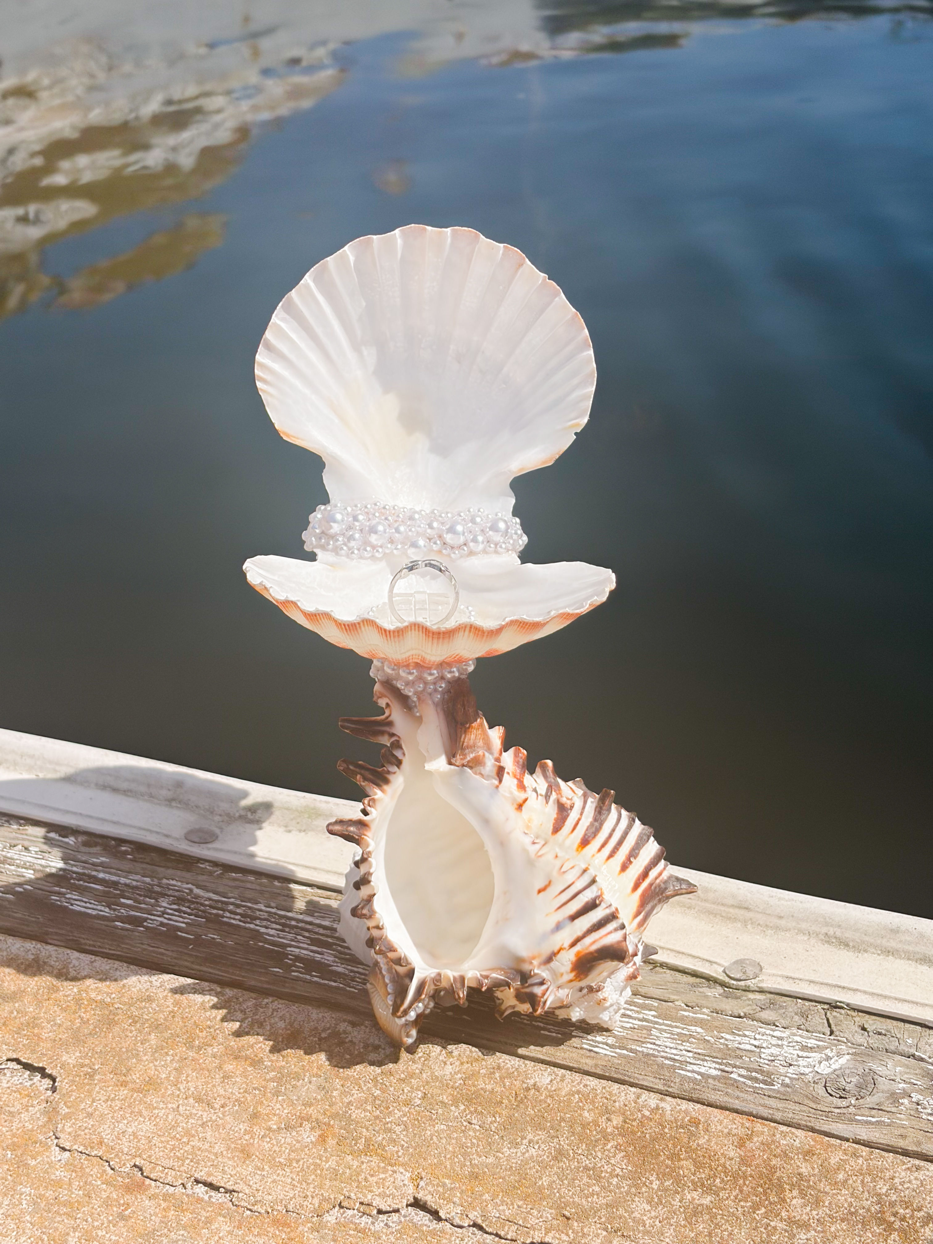 Sea Gem Display