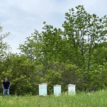 Golden Goose Farm John.jpg