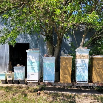 2022 Indianola Beeyard.jpg