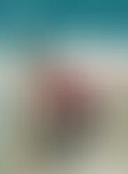 Long Haul Covid and Chronic Lyme Disease are Surprisingly Similar