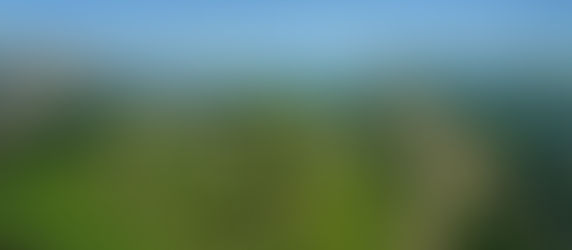 Bang Tao Beach Discover the Tranquil Beauty of Thailand