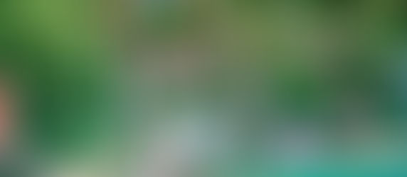 Paradise Beach Resort Koh Samui – Your Seaside Escape to Bliss! 🌊✨