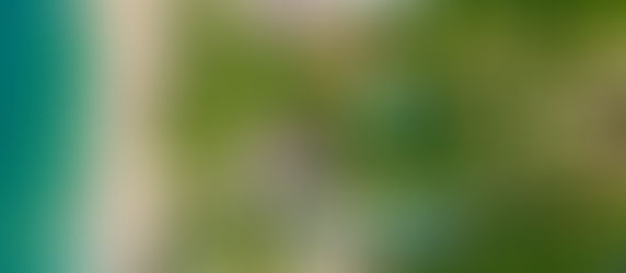 Rabbit Resort Pattaya – A Tranquil Tropical Escape