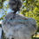 Thumbnail: Blue/Splash regular & showgirl chance of frizzles Silkie Chick preorder 