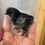 Thumbnail: Black Silkie Chick