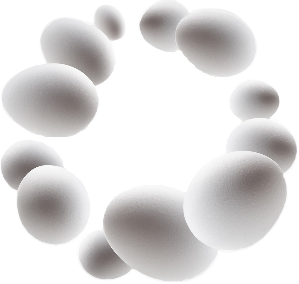 Floating egg ring_edited_edited_edited.png