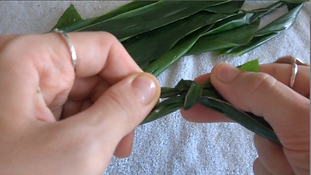 Making ti leaf lei