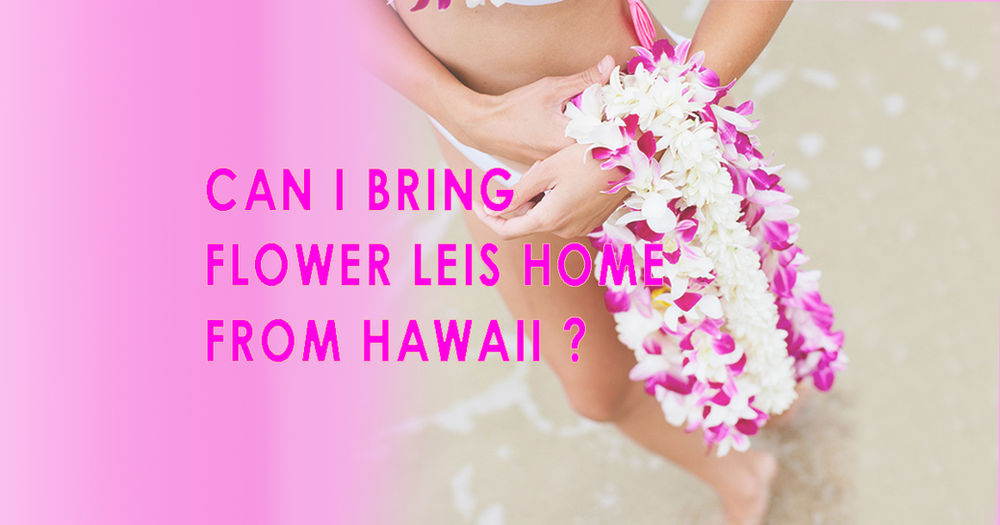 Can I Bring Flower Leis Home From Hawaii?