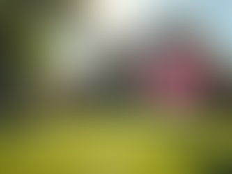 Quick Home Selling: How to Quickly Sell Your Home in Any Condition