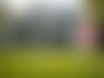 Sell My House Fast in Essex County NJ: Your Ultimate Guide to a Quick Cash Sale