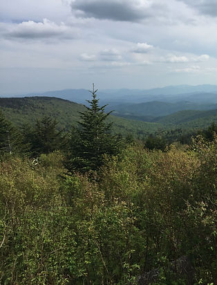 Grayson Highlands Mountain View.jpg