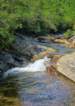 Backpacking upstream on the Bartram Trail in Georgia