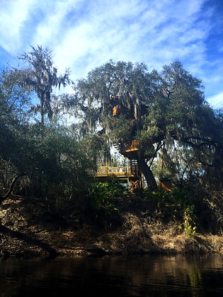 Treehouse on Suwannee River Florida.jpg