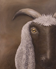 Goat in Sheeps Clothing by Sonya Cordina.jpg