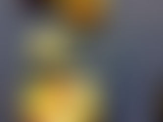 Whole World Festival of Peace Thursday, January 19th 5:30 - 7 PM